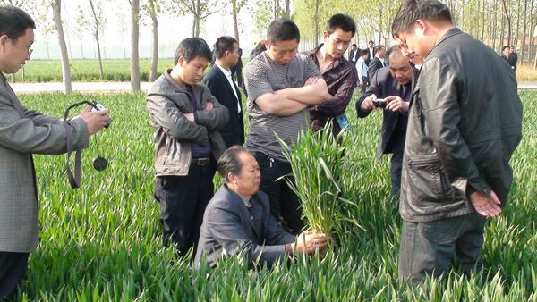 許科種業(yè)首屆銷(xiāo)售研討會(huì)